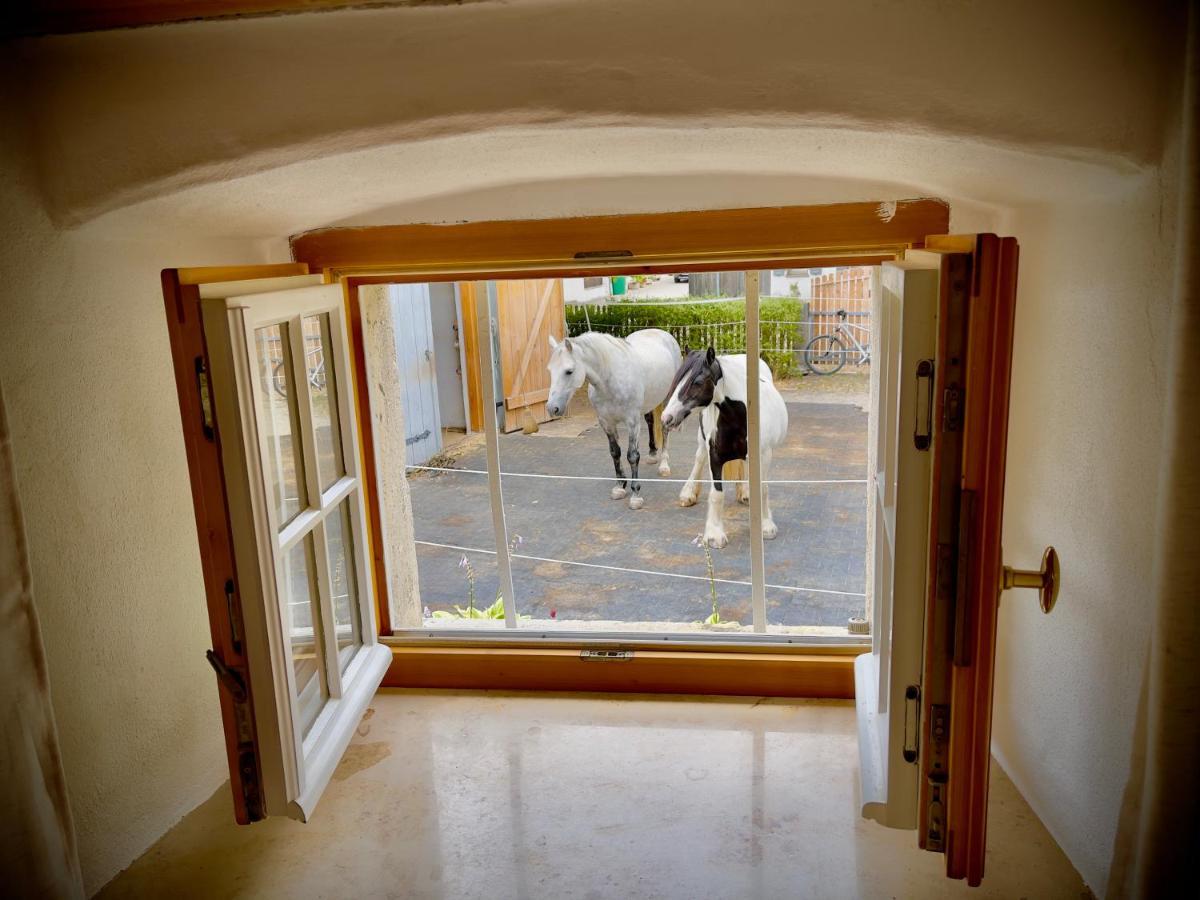 Rohrachhof Apartment Treuchtlingen Bagian luar foto