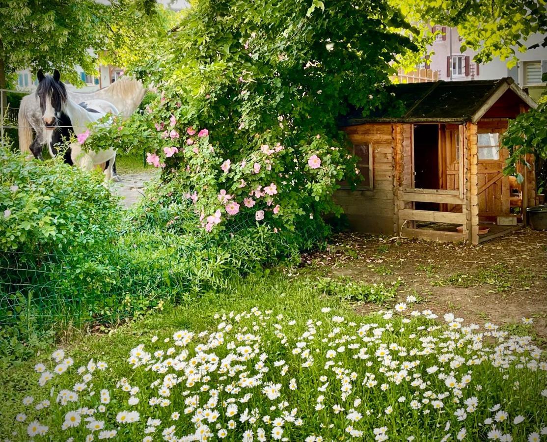 Rohrachhof Apartment Treuchtlingen Bagian luar foto